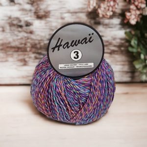 Accueil 18 Cocktail Hawaï 3